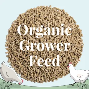 Grower Organic Chicken Feed