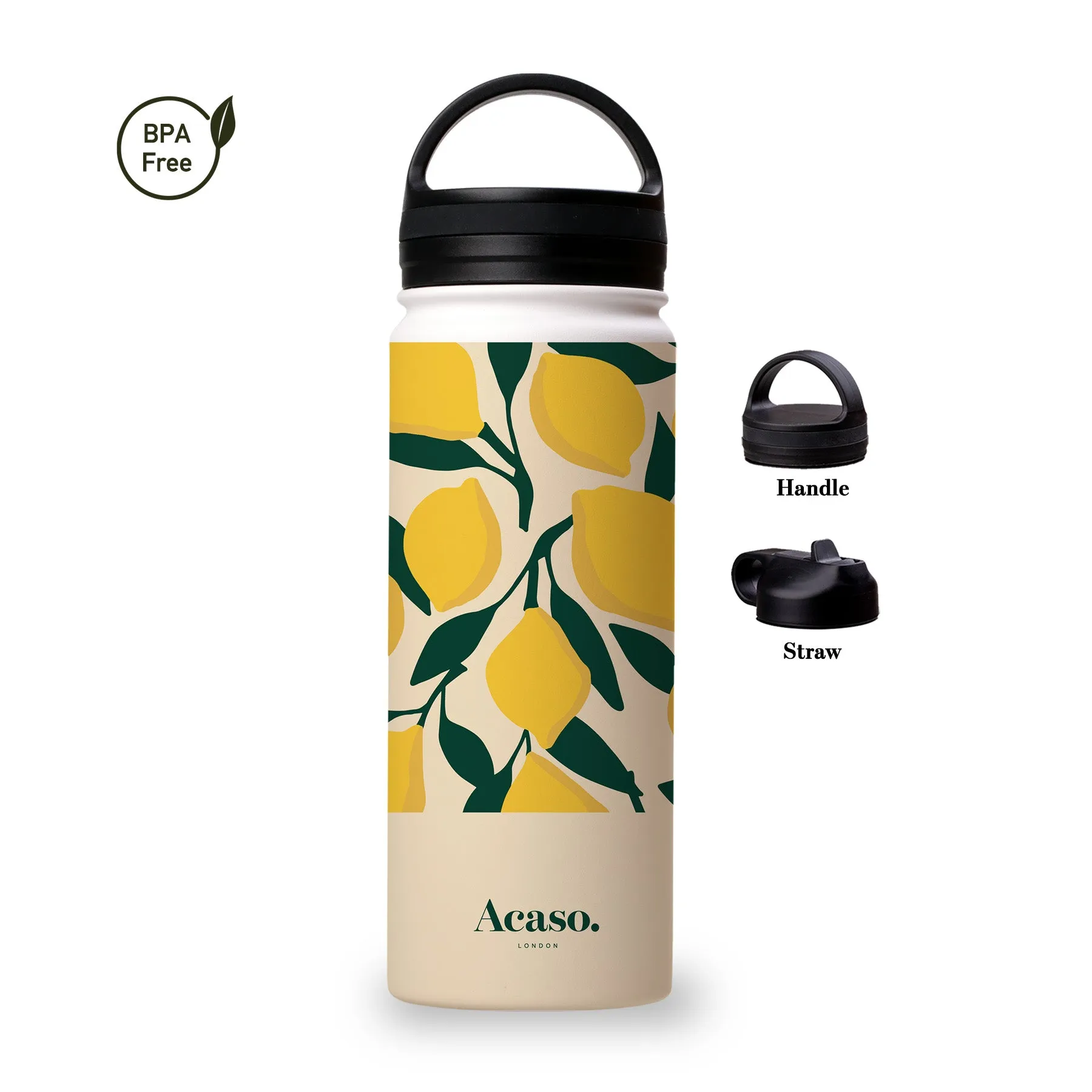 LEMONWORLD Steel Water Bottle