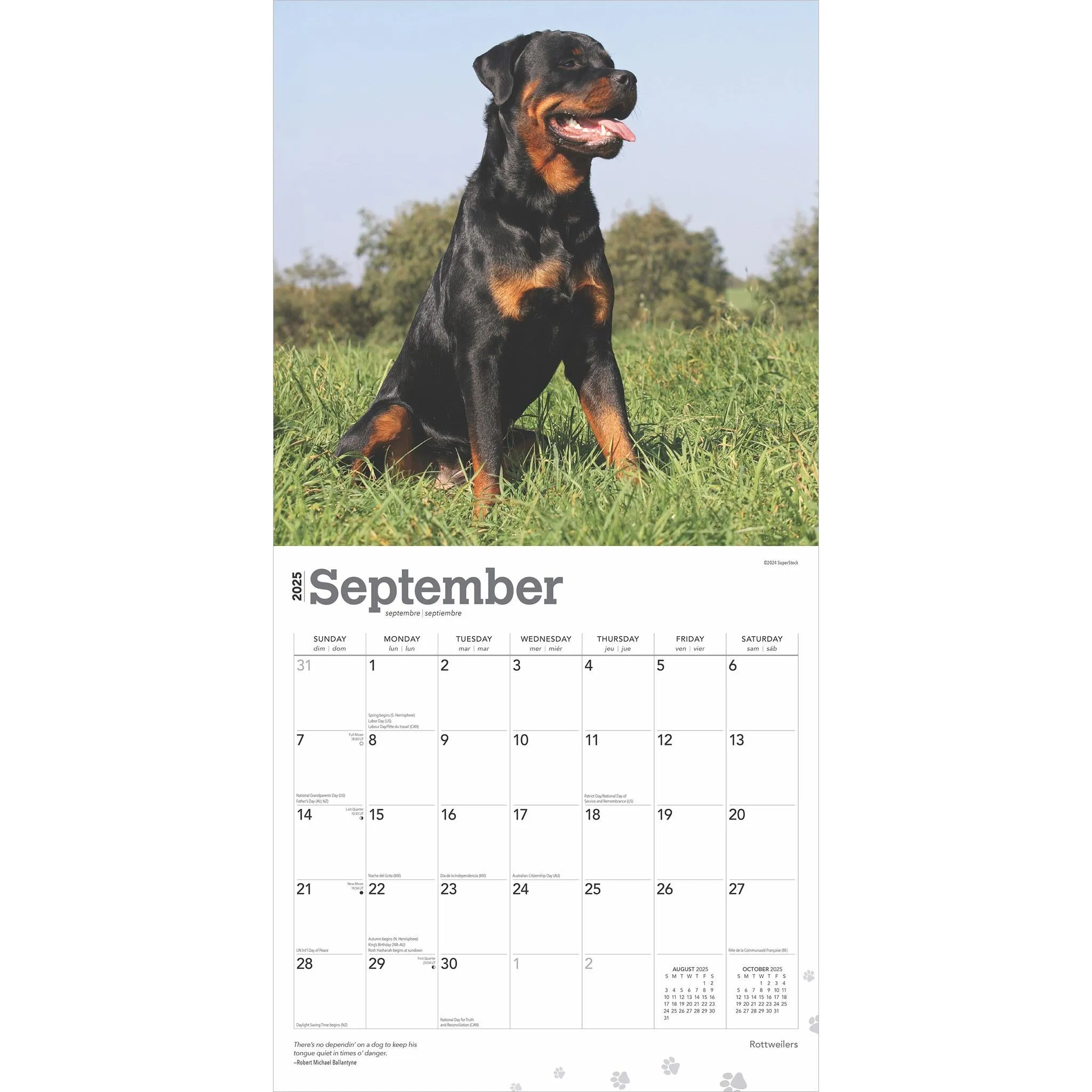 Rottweilers Wall 2025 Calendar