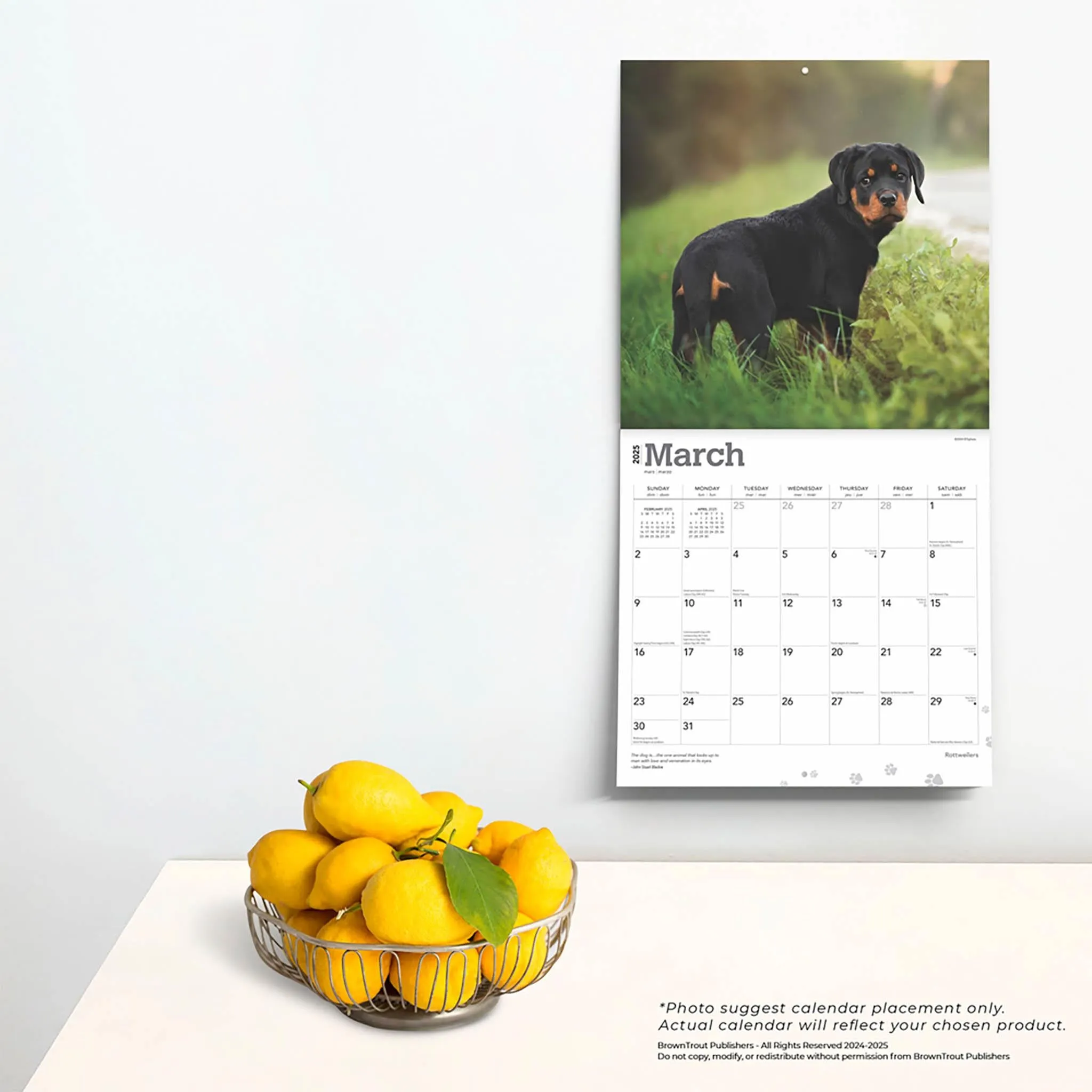 Rottweilers Wall 2025 Calendar