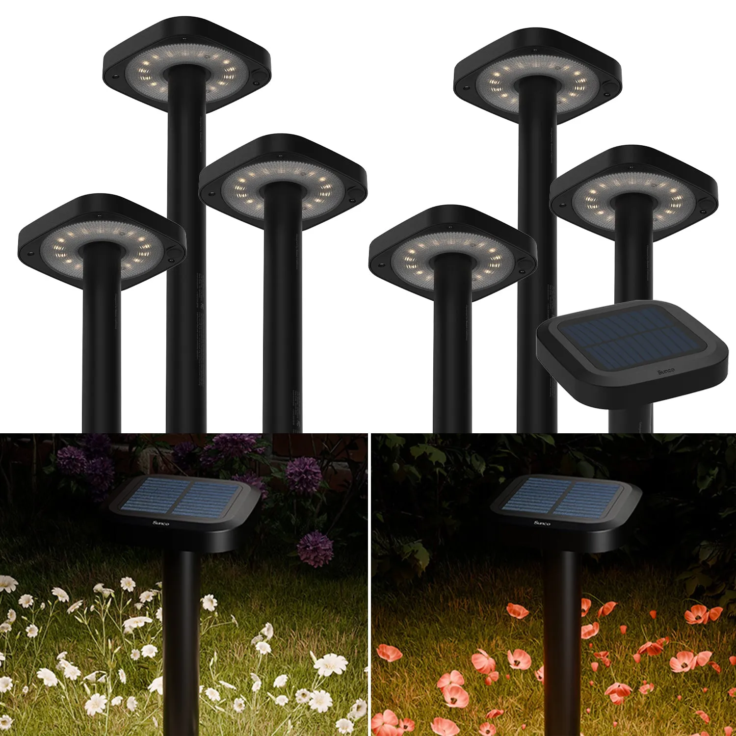 Solar LED Path Lights, Square, Dusk To Dawn